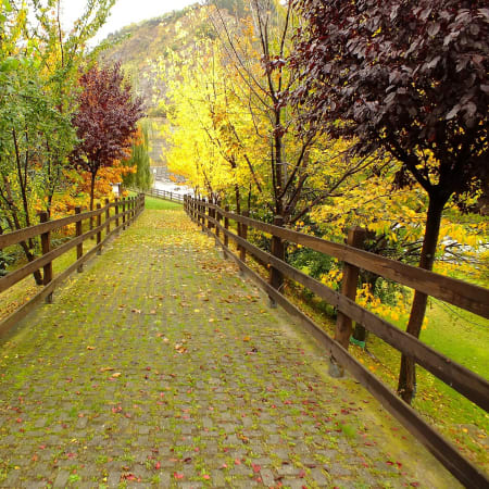 1-Hour Horse Riding Tour in Aosta Valley through Vineyards and Castles