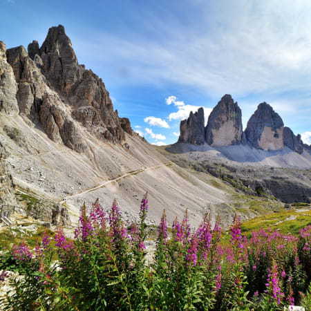 Full-Day Hiking Tour to Tre Cime di Lavaredo via Forcella Lavaredo