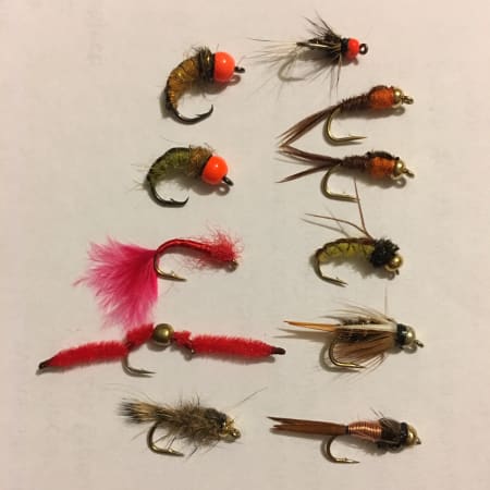 6-Hour Fly Fishing Tour on the Vaal River with Upstream Nymphing