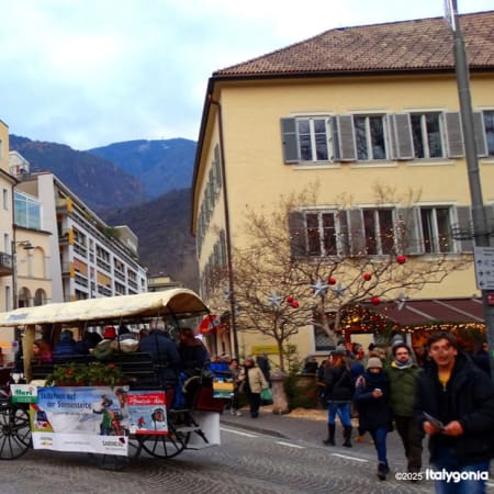 2-Hour Walking Tour of Bolzano with Cathedral and Medieval Center