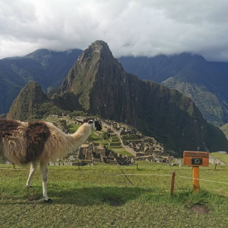 1-Day Machu Picchu Train Tour from Cusco with Guided Citadel Visit