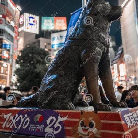 6-Hour Private Tokyo Tour with Yanaka, Shibuya and Cultural Activity