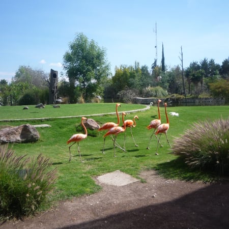 5-Hour Cholula Architecture Tour with the Great Pyramid and Baroque Gems