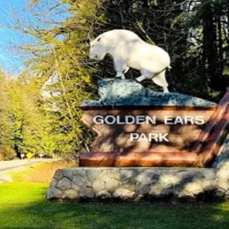 7-Hour Vancouver Family Adventure Tour with City and Mountain Thrills