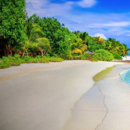 5-Day Andaman Islands Tour from Port Blair with Havelock and Neil