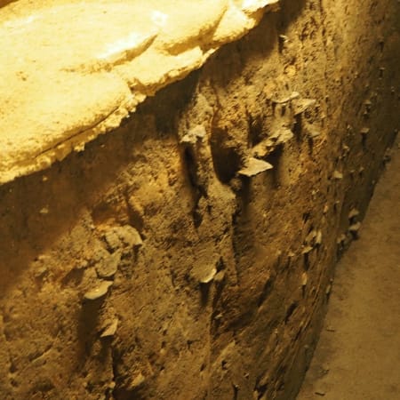 3-Hour Sannai-Maruyama Archaeological Tour with Sanmaru Museum