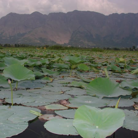 5-Day Kashmir Valley Tour with Houseboat Stay and Gulmarg