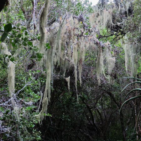 8-Hour Hike in Maitland Nature Reserve for Biodiversity and Birdlife
