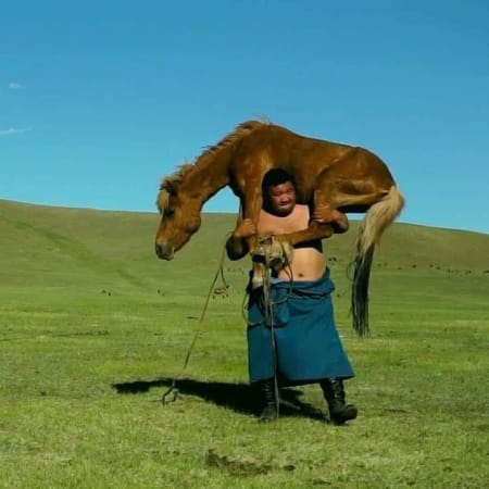 8-Day Mongolia Cultural and Horseback Adventure from Ulaanbaatar