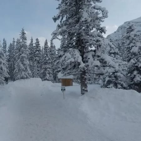 4-Day Rockies Snow Adventure to Lake Louise and Banff from Vancouver