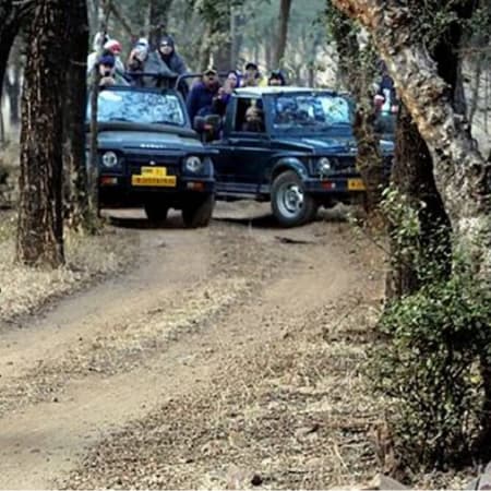 12-Day Central India Tiger Safari through Pench, Kanha and Bandhavgarh