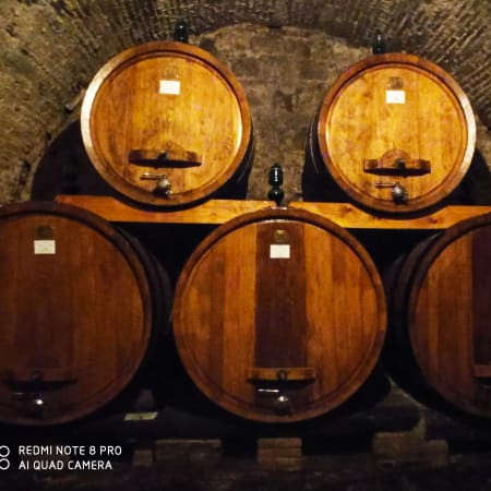 1-Day Cortona and Montepulciano Tour with Historic Cellars