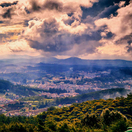 4-Day Ooty and Tamil Nadu Sightseeing Tour with Mudhumalai Safari