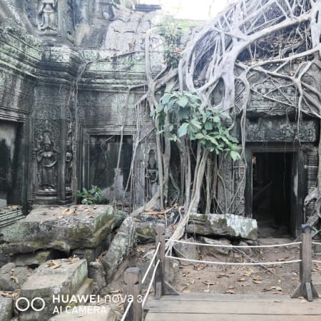 8-Hour Angkor Wat Sunrise Tour with Angkor Thom and Ta Prohm