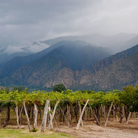 11-Hour Cafayate Wine Tour from Salta through Las Conchas