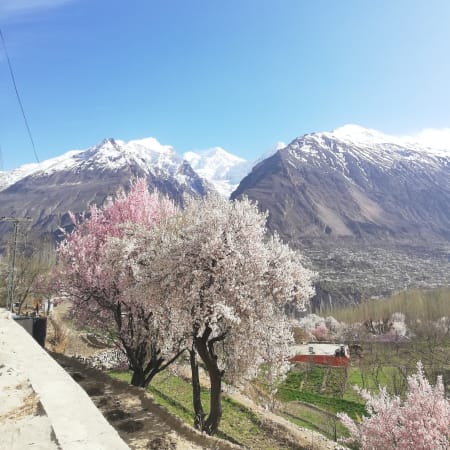 8-Day Hunza Valley Tour from Islamabad with Khunjarab Pass