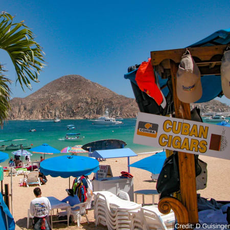 6-Day Cabo and Baja Adventure Tour with Wildlife and Water Sports