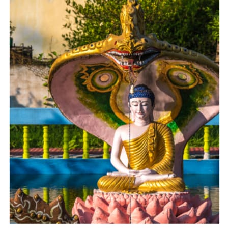 3-Day Upper Assam Wildlife and Heritage Tour with Dehing Patkai