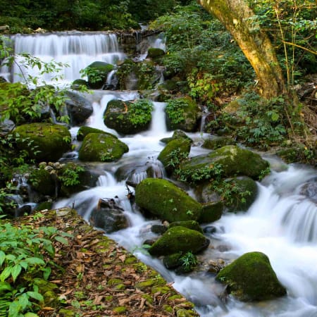 Full-Day Bagdwar Hike in Shivapuri Nagarjun National Park