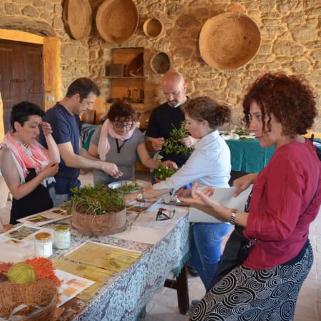 6-Hour North Sardinia Hidden Gems Tour with Farm Dinner