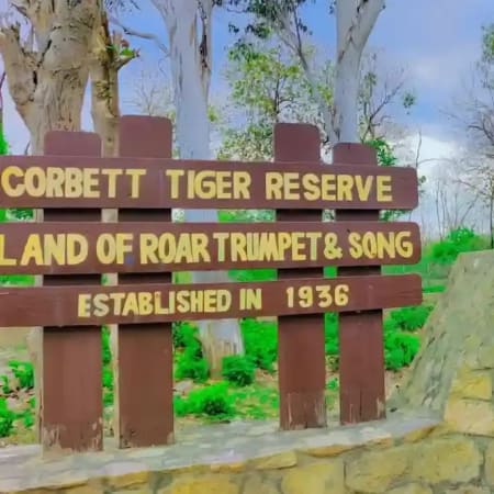 3-Day Jim Corbett National Park Safari from Delhi with Resort Stay