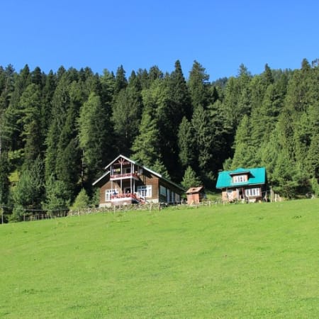 5-Day Kashmir Valley Tour with Gulmarg, Pahalgam and Sonmarg