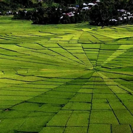 7-Day Flores Island Tour from Denpasar with Kelimutu and Maumere