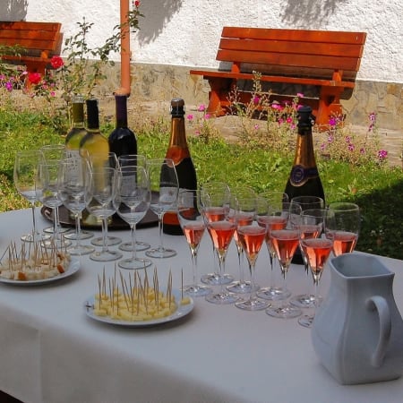 8-Hour Sinaia and Prahova Valley Tour from Bucharest with Wine Tasting