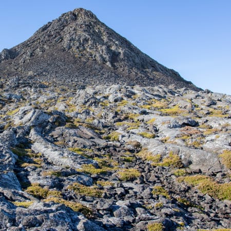 1-Day Pico Mountain Trek from Madalena with Summit Sunset Views