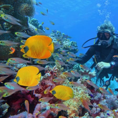 7-Hour Ras Mohamed and White Island Boat Tour from Sharm El Sheikh