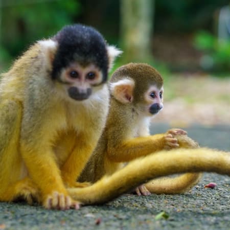 6-Hour Ishigaki Island Highlights Tour with Crafts and Kabira Bay