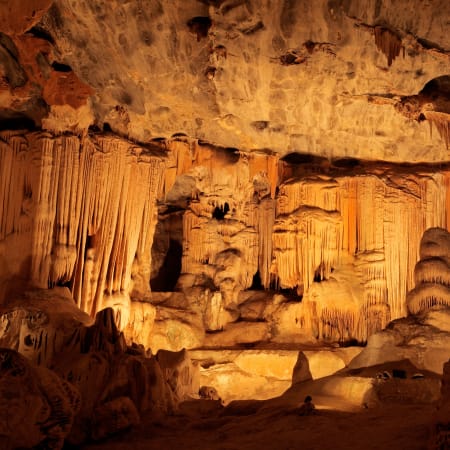 5-Day Cape Peninsula and Garden Route Tour with Safari and Cango Caves