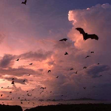 2-Day Private Komodo National Park Cruise with Rinca and Padar