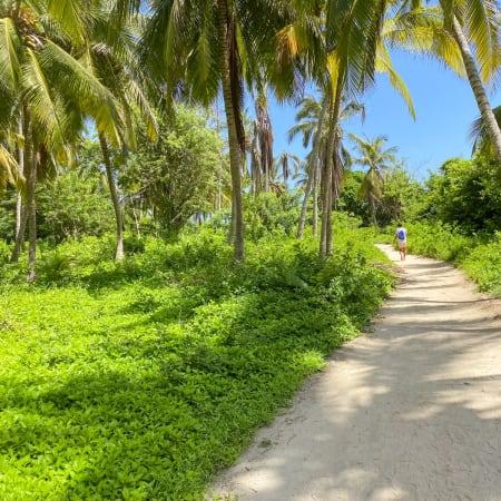 4-Day Santa Marta Tour with Tayrona, Minca and Pirate Bay Cruise