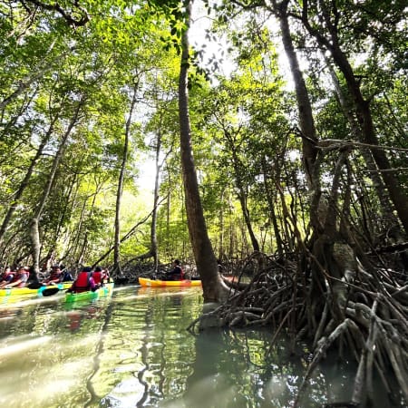 4-Hour Mangrove Kayaking Tour in Pulau Betong with Crab Trapping