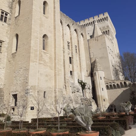 2-Hour Avignon Walking Tour with the Popes' Palace Visit