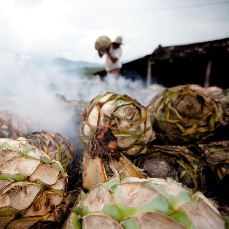 9-Hour Oaxaca Cultural Tour with Mezcal Tasting and Artisan Visits