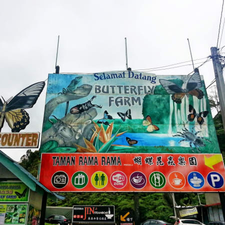 1-Day Cameron Highlands Private Tour with Tea Estate and Strawberry Farm
