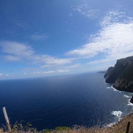 7-Hour Laurel Forest Walk from Funchal through Laurissilva