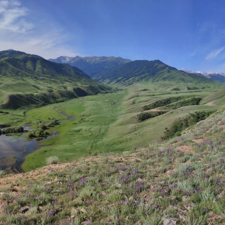 2-Day Charyn Canyon and Kolsay Lakes Tour with Kaindy Lake