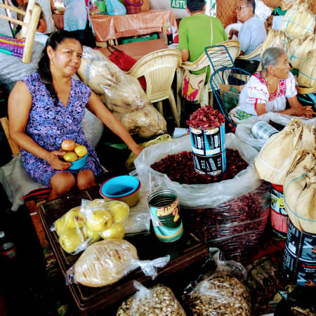 6-Hour Acapulco Attractions Tour with Fort San Diego and La Quebrada