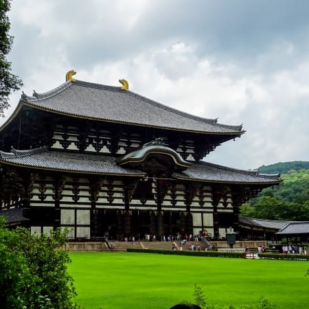 9-Hour Uji and Nara Tour with Tea Ceremony and Great Buddha