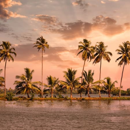 5-Day Romantic Kerala Tour from Cochin with Munnar and Kumarakom