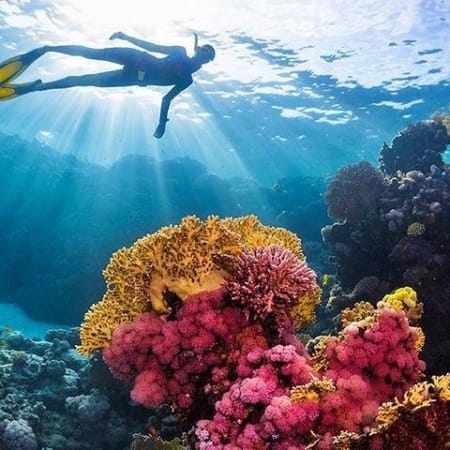 3-Hour Sea Scope Semi-Submarine Tour in Hurghada with Snorkelling