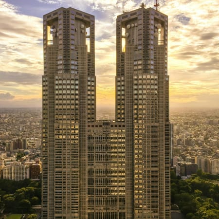5-Hour Tokyo Three Towers Tour with Skyline Views and Mount Fuji