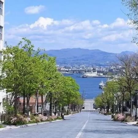2-Day Hakodate City Tour with Mount Hakodate Night View