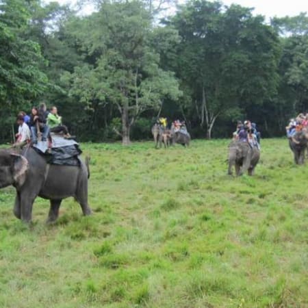 9-Day Nepal Heritage and Wildlife Tour with Chitwan Safari