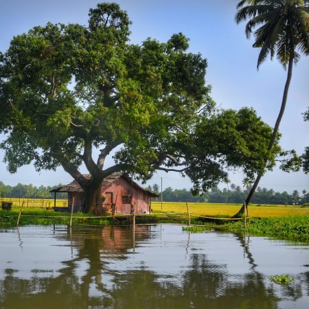 13-Day South India Tour from Chennai with Kerala Backwaters