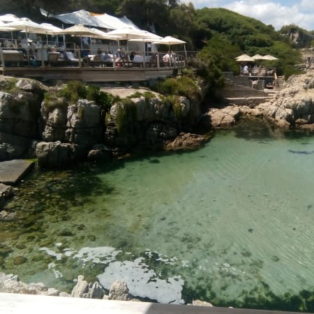 Full-Day Wildlife Tour of Cape Town and Hermanus with Whale Watching