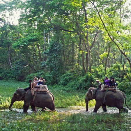3-Day Bardia National Park Safari with Karnali River from Kathmandu